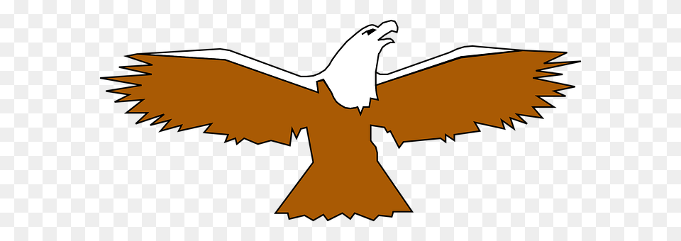 Eagle Animal, Bird, Flying, Kite Bird Free Png
