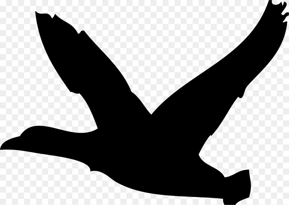 Eagle, Silhouette, Animal, Bird, Goose Free Transparent Png