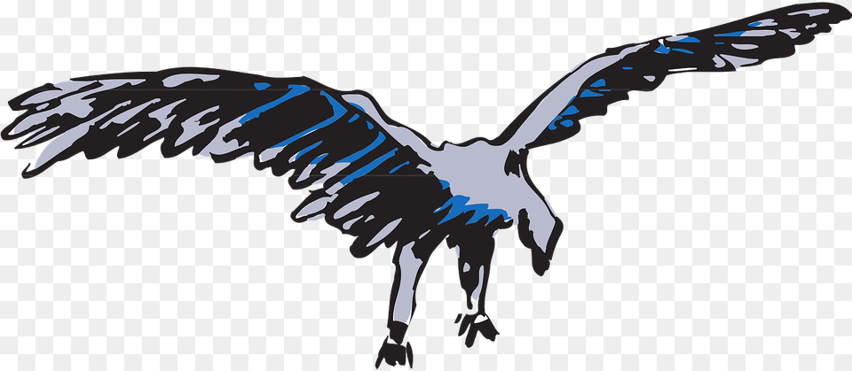 Eagle, Animal, Bird, Flying, Vulture Png Image