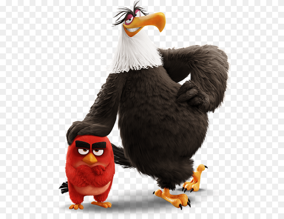 Eagle Angry Bird Movie, Animal, Beak Png Image