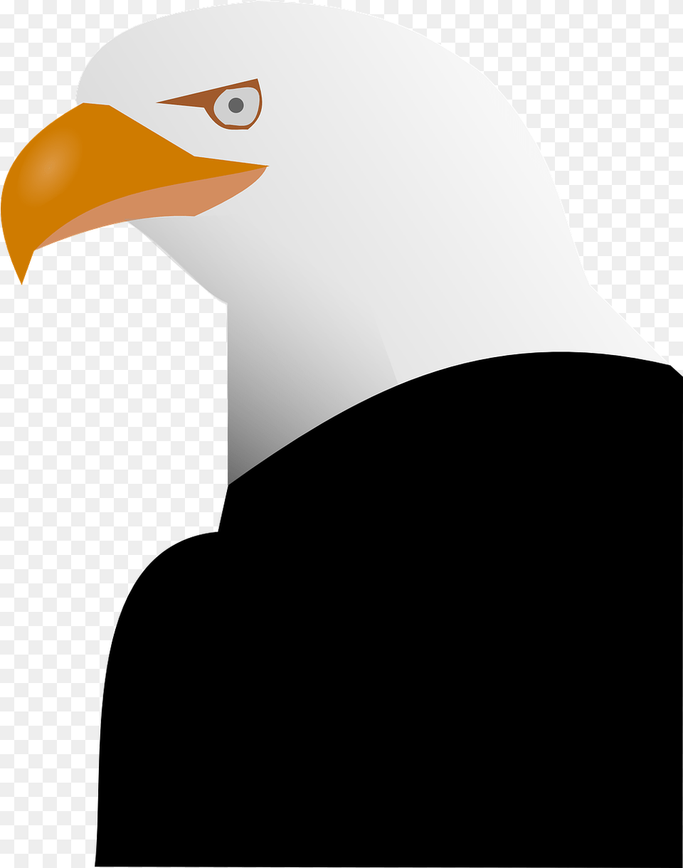 Eagle Animal Beak Bald Feather Spread Icon, Bird, Bald Eagle Png Image