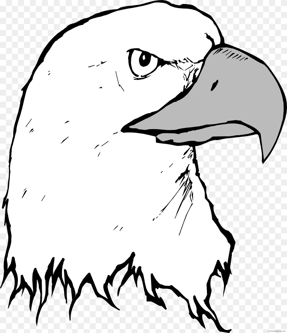 Eagle Animal Black White Clipart Images Clipartblack Beak Clipart, Bird, Adult, Female, Person Png Image