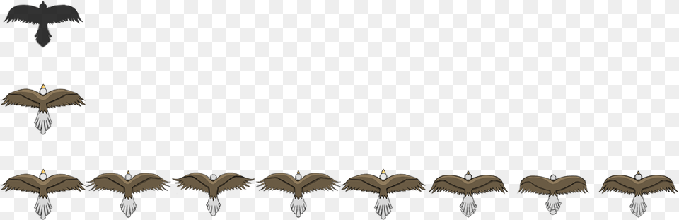 Eagle Atlas Top Down Bird Sprite, Animal, Flying Png Image