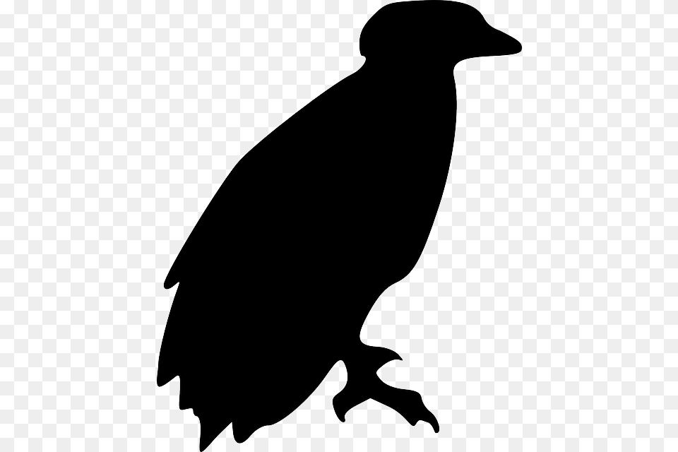 Eagle Bird Animal Perching Silhouette, Stencil, Vulture, Kangaroo, Mammal Png