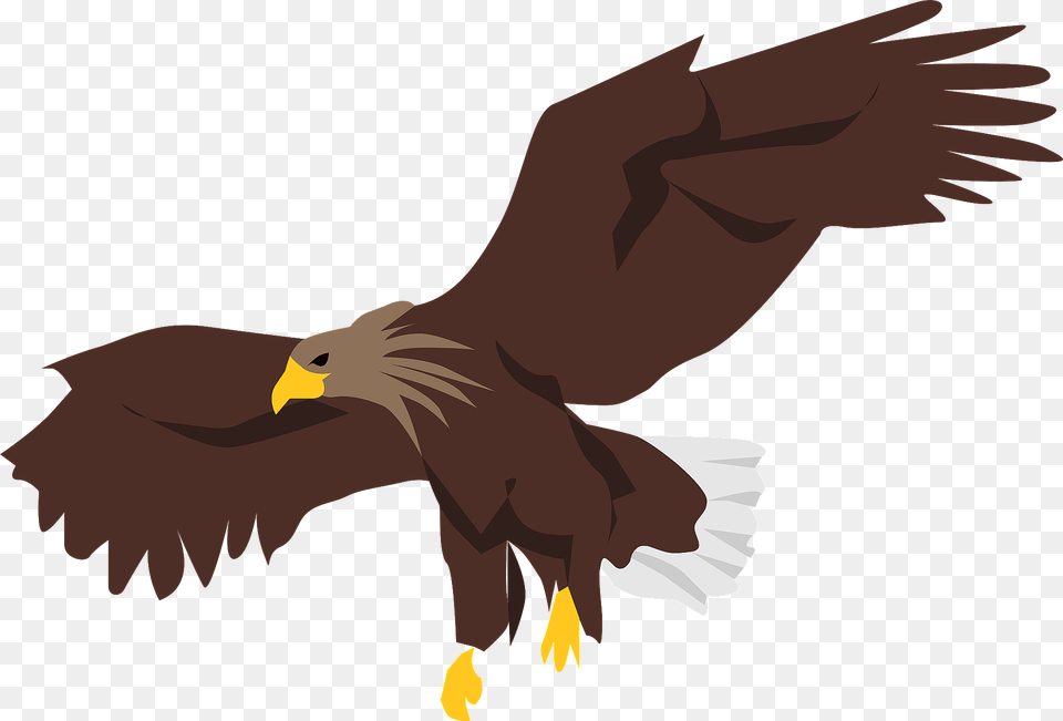 Eagle Bird Clipart, Animal, Kite Bird, Fish, Sea Life Png