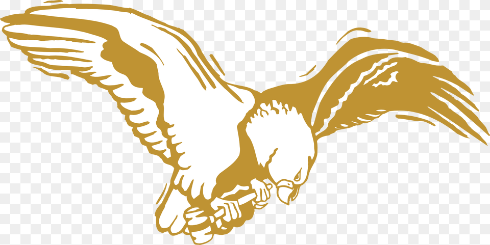 Eagle Bird Gold Wings Feathers Golden Eagle Transparent Background, Animal, Flying, Goose, Waterfowl Free Png Download