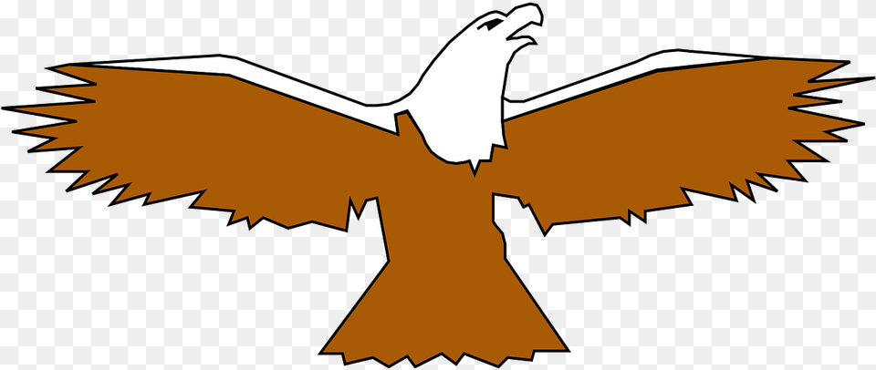 Eagle Bird Spread Wings Bird With Its Wings Out, Animal, Flying, Kite Bird Free Png