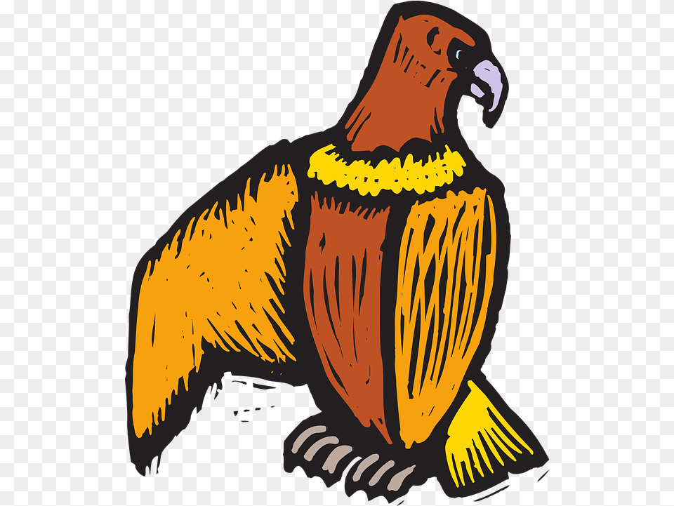 Eagle Bird Style Vector Graphic On Pixabay Beak, Animal, Vulture, Condor, Adult Free Png