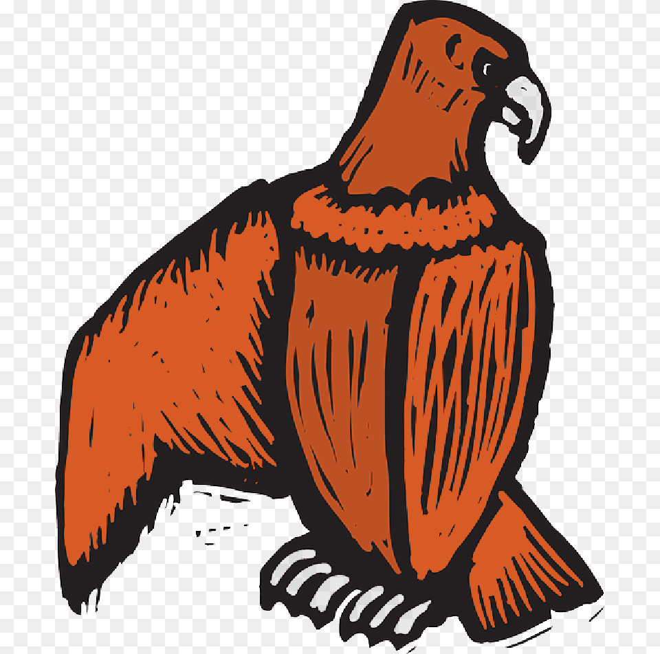 Eagle Bird Style Wings Art Off Beak Scratch Birds, Animal, Vulture, Condor, Bear Png Image
