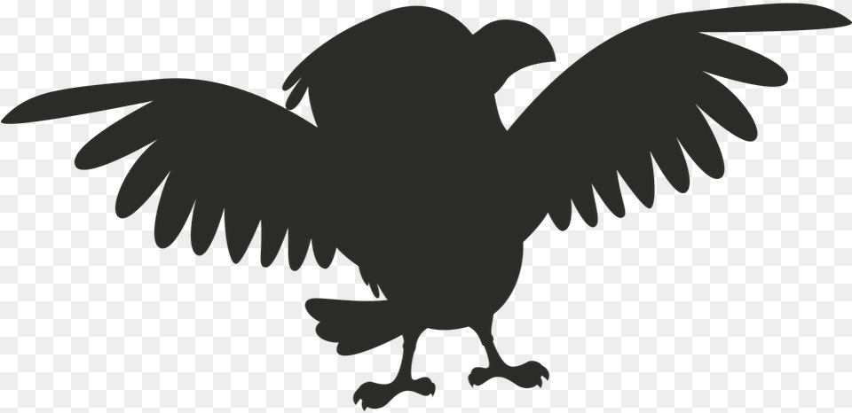 Eagle Cartoon, Animal, Bird, Flying, Vulture Png
