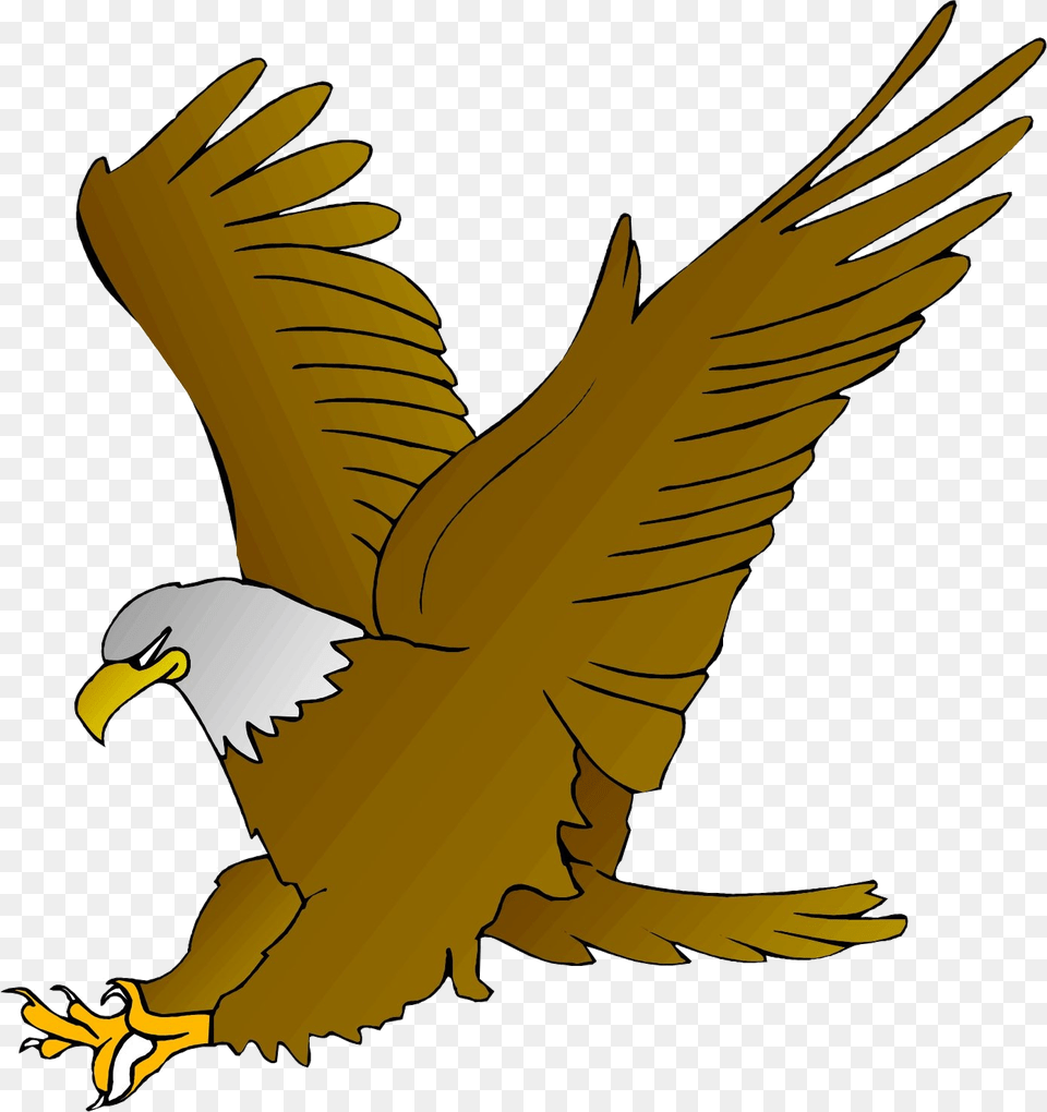 Eagle Cartoon Clipart Amos Elementary Animated Eagle Background, Animal, Bird, Fish, Sea Life Free Png Download