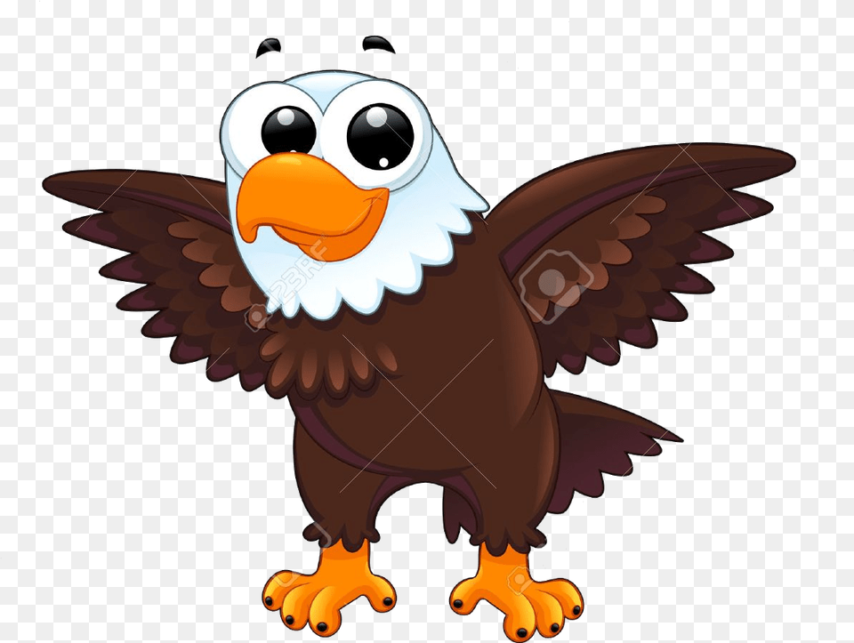 Eagle Cartoon Clipart Transparent Eagle Clipart Transparent Background, Animal, Beak, Bird Free Png Download