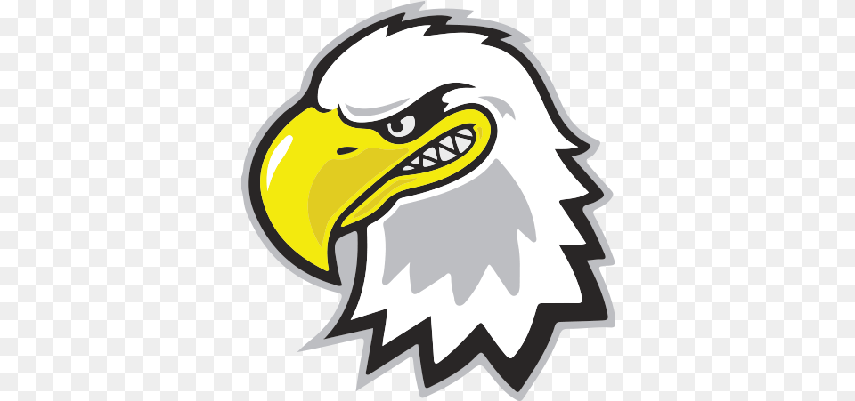 Eagle Cartoon Logo, Animal, Beak, Bird, Bald Eagle Png Image