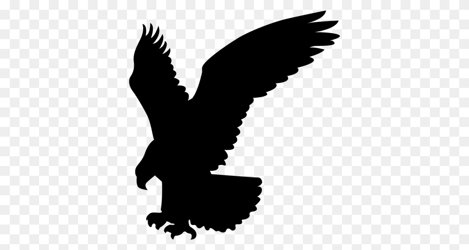 Eagle Catching Silhouette, Gray Free Png