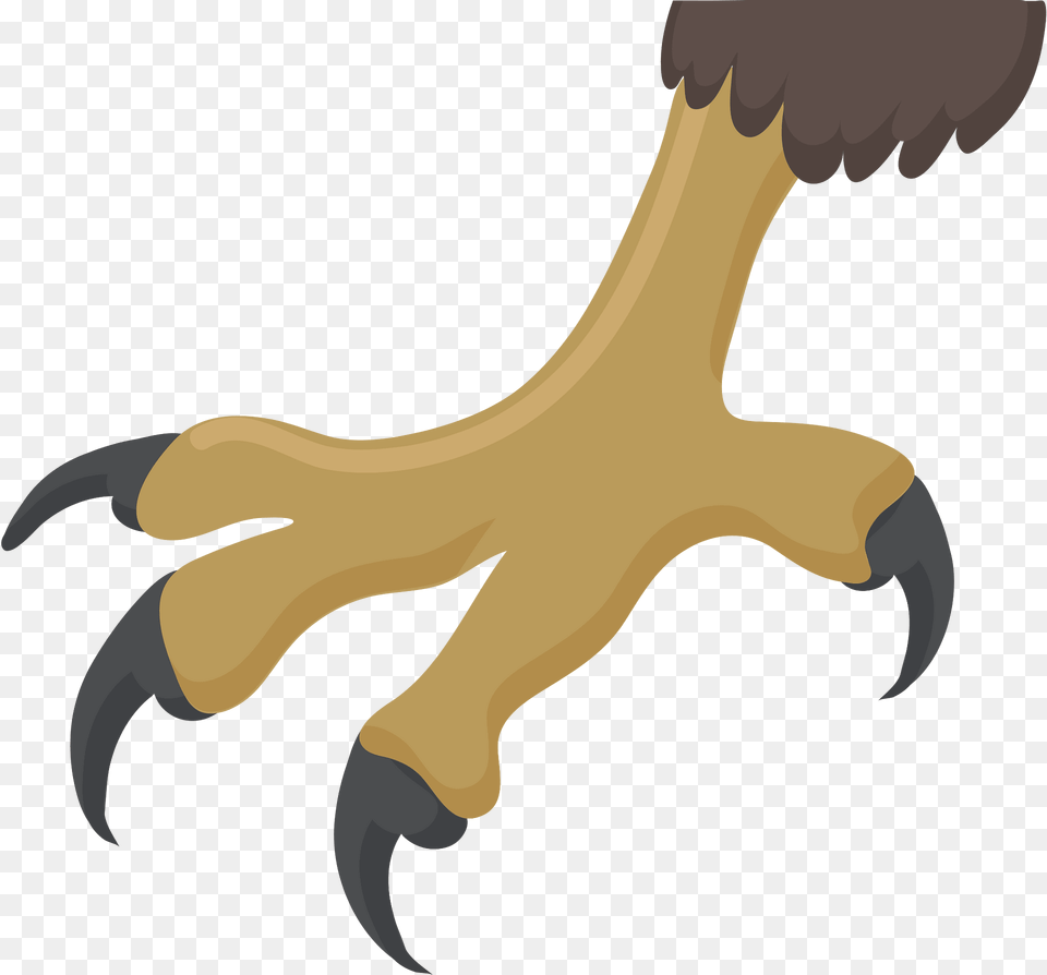 Eagle Claw Clipart, Animal, Beak, Bird, Electronics Free Transparent Png