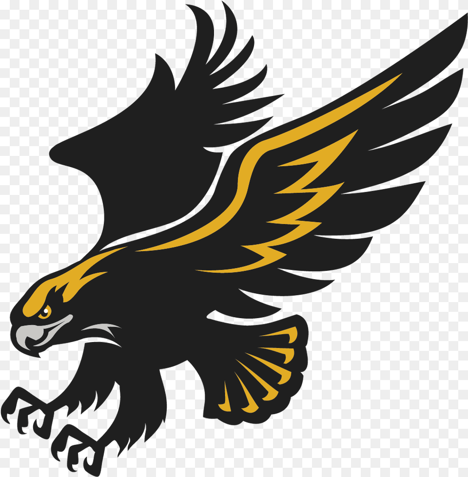 Eagle Claws Clipart Waltham High School Hawks, Animal, Vulture, Bird, Electronics Png Image