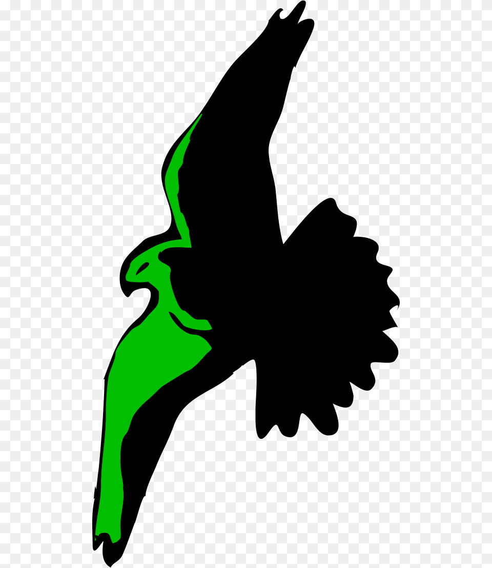 Eagle Clip, Green, Nature, Night, Outdoors Free Png Download