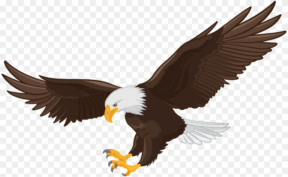 Eagle Clip, Animal, Bird, Bald Eagle, Beak Free Png