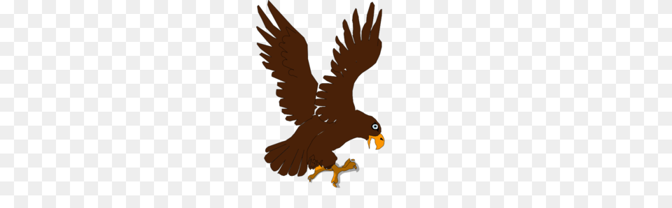 Eagle Clip Art, Animal, Bird, Kite Bird, Vulture Free Png Download