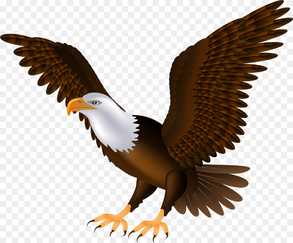 Eagle Clip Art Free Png