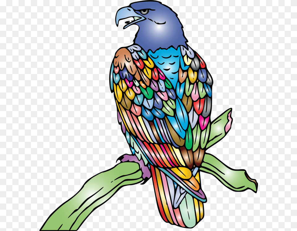 Eagle Clip Art, Animal, Beak, Bird, Person Free Png