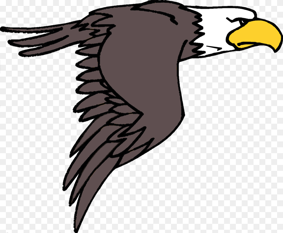Eagle Clip Art Cartoon Flying Clipart Eagle, Animal, Beak, Bird, Adult Free Png Download
