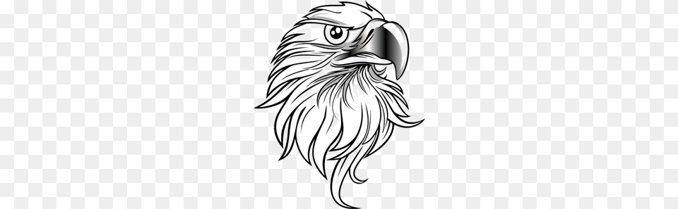 Eagle Clip Art For Web, Animal, Bird, Beak, Adult Free Png