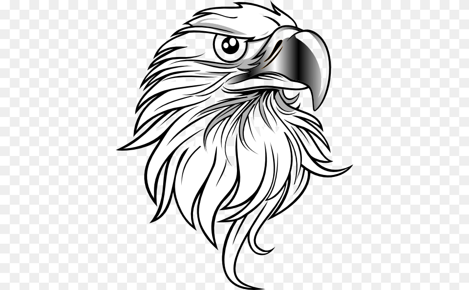 Eagle Clip Art For Web, Animal, Bird, Baby, Person Free Png Download