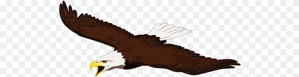 Eagle Clip Art Images Eagle Silhouette Clip Art Background Eagle Clipart, Animal, Bird, Bald Eagle, Beak Free Transparent Png