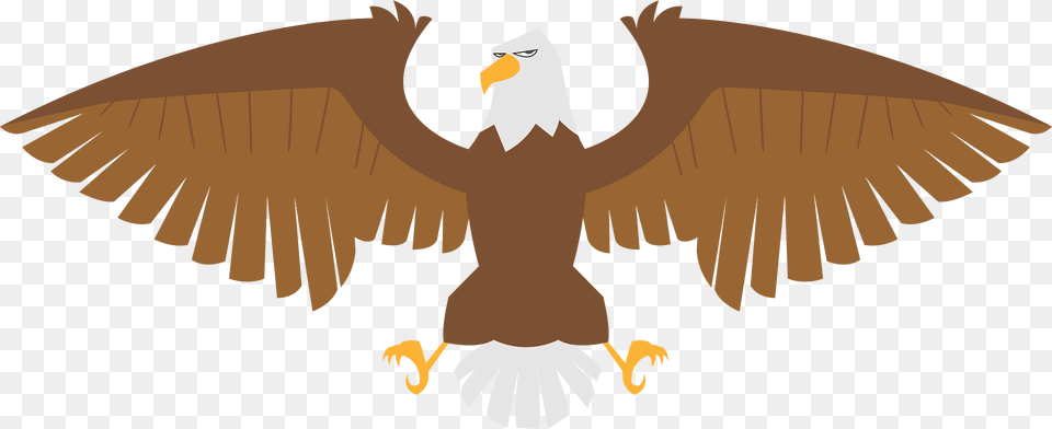 Eagle Clipart, Animal, Beak, Bird, Bald Eagle Free Transparent Png