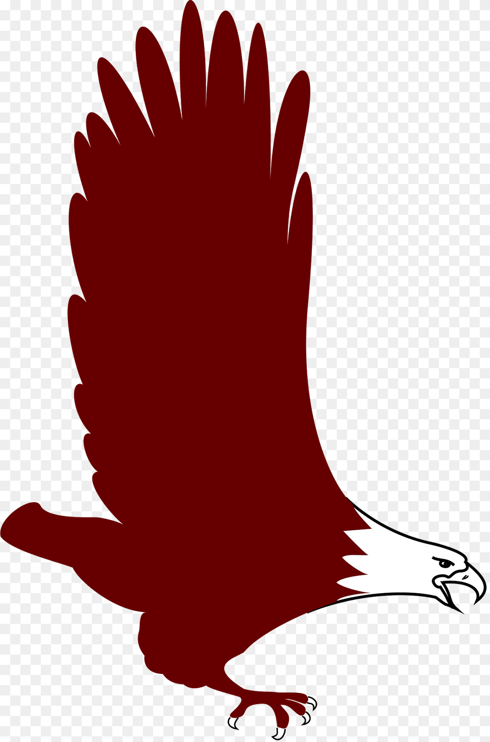 Eagle Clipart, Animal, Beak, Bird, Vulture Png Image