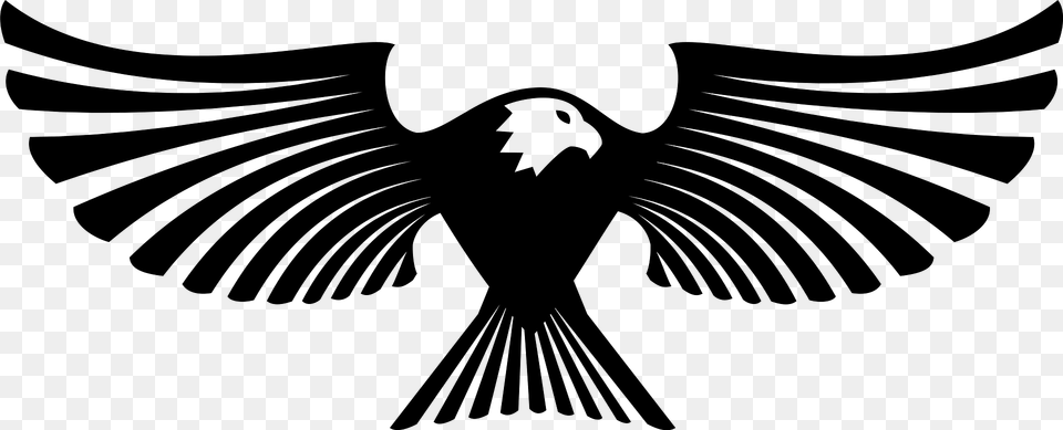 Eagle Clipart, Animal, Bird, Blackbird, Person Png Image