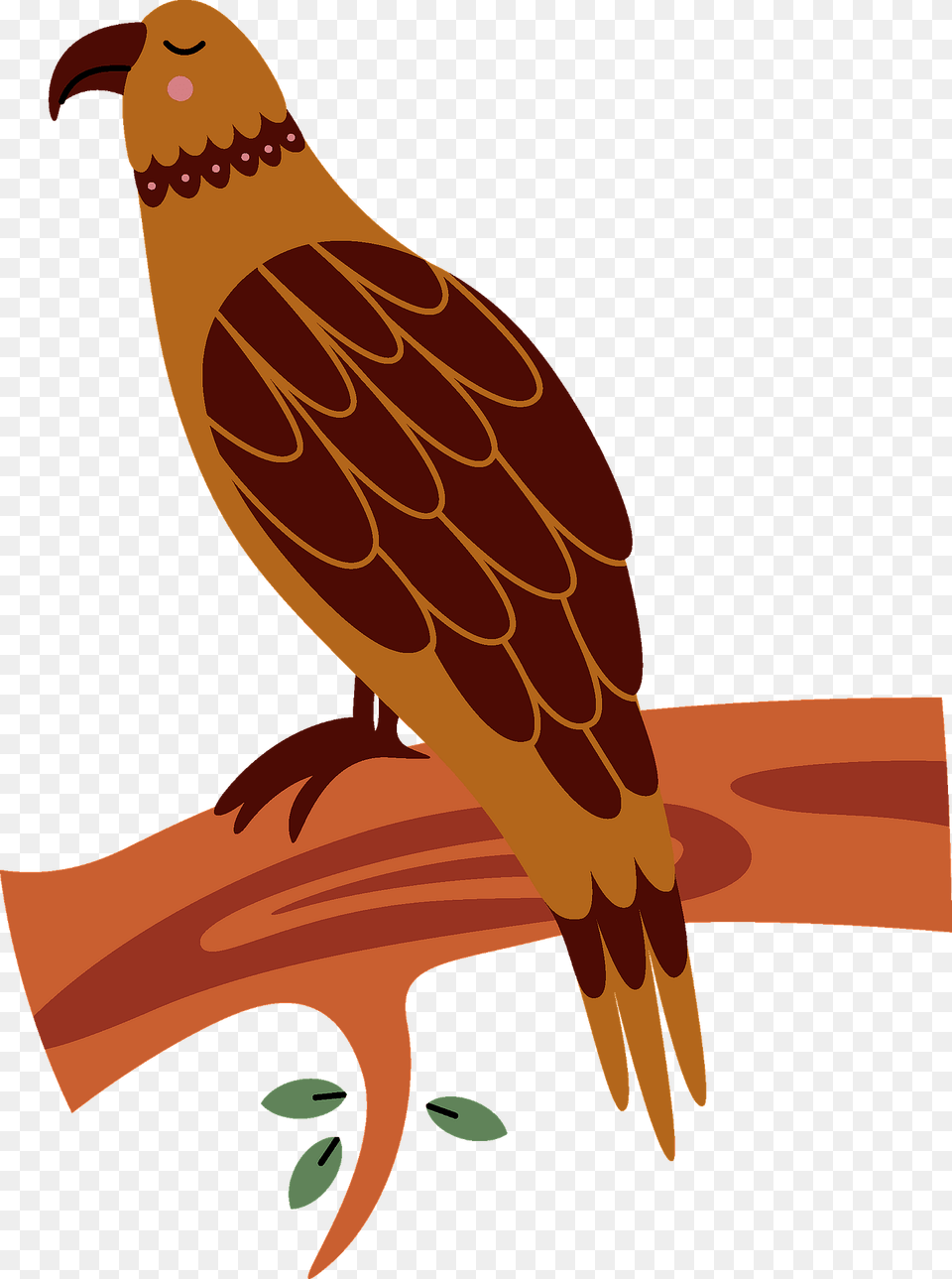 Eagle Clipart, Animal, Beak, Bird, Vulture Free Png