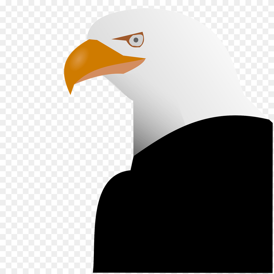 Eagle Clipart, Animal, Beak, Bird, Bald Eagle Png