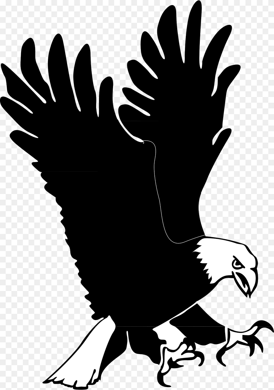 Eagle Clipart, Animal, Bird, Vulture, Person Free Transparent Png