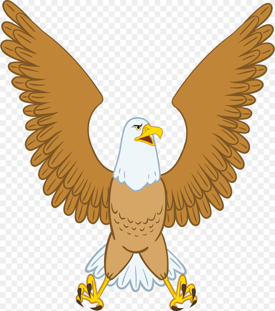 Eagle Clipart, Animal, Beak, Bird, Face Free Png