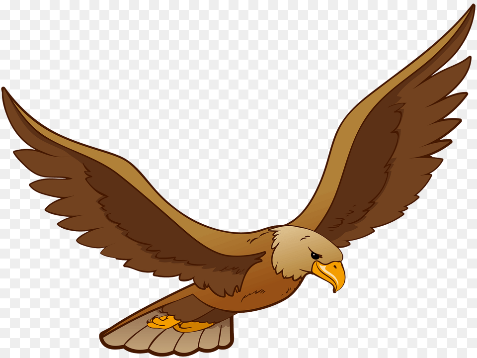 Eagle Clipart, Animal, Beak, Bird, Flying Free Png