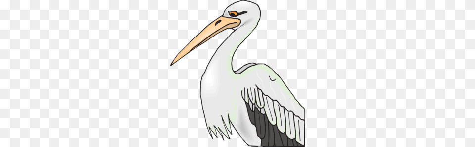 Eagle Clipart, Animal, Bird, Waterfowl, Stork Png