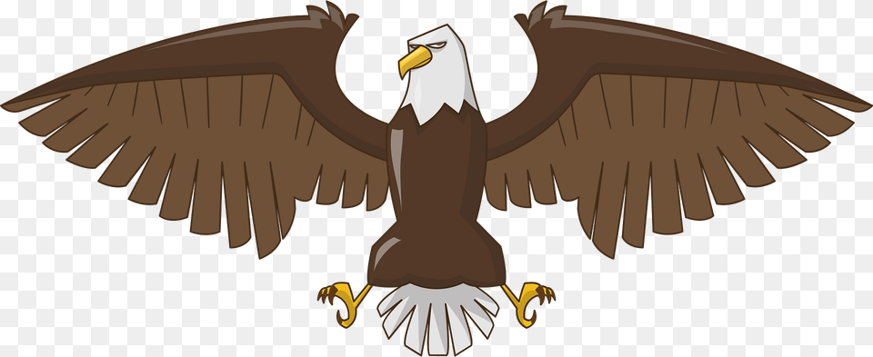 Eagle Clipart, Animal, Beak, Bird, Bald Eagle Png