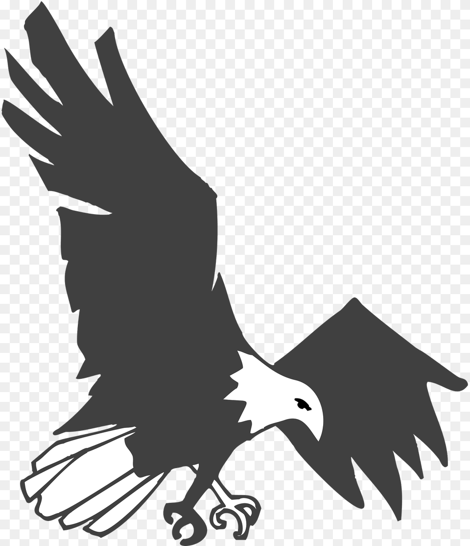 Eagle Clipart, Animal, Bird, Flying, Beak Free Png