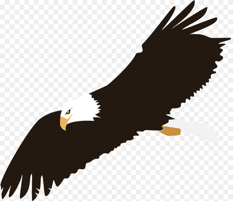 Eagle Clipart, Animal, Bird, Beak, Bald Eagle Free Png