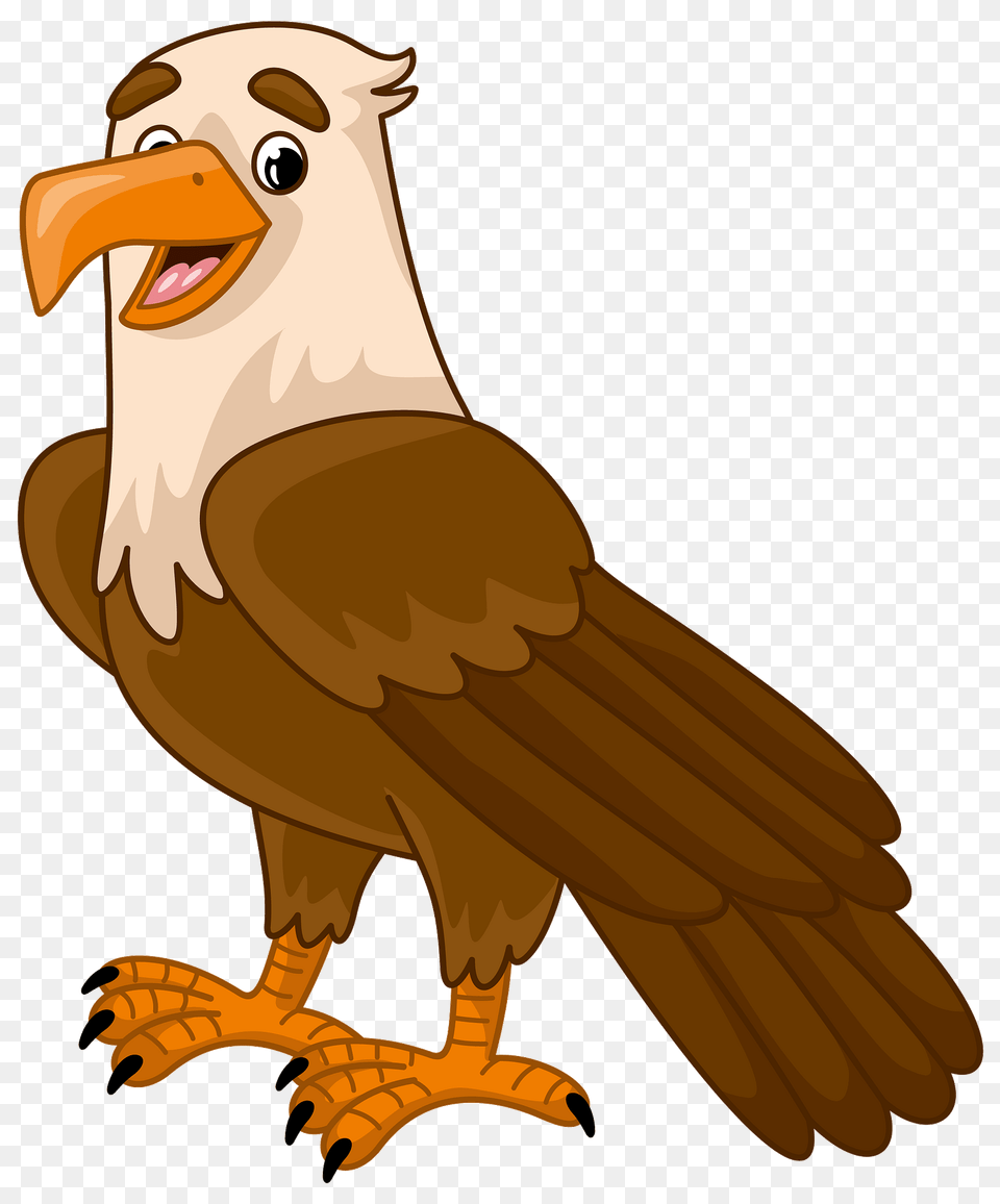 Eagle Clipart, Animal, Beak, Bird, Vulture Png Image