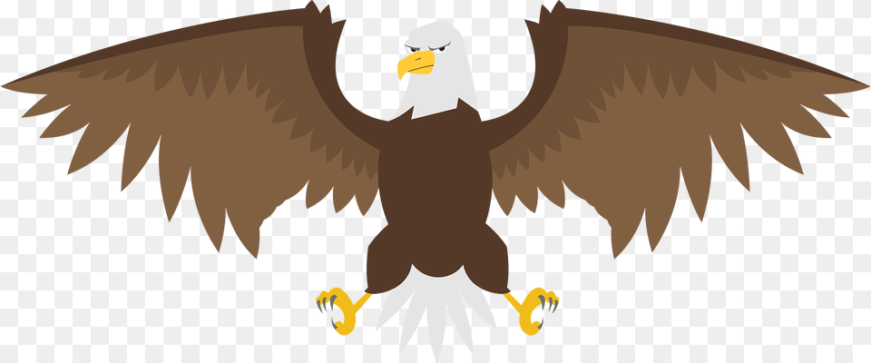 Eagle Clipart, Animal, Beak, Bird, Bald Eagle Png Image