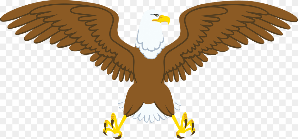Eagle Clipart, Animal, Beak, Bird, Flying Png