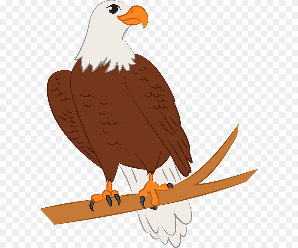 Eagle Clipart Bald Eagle, Animal, Beak, Bird, Fish Free Transparent Png