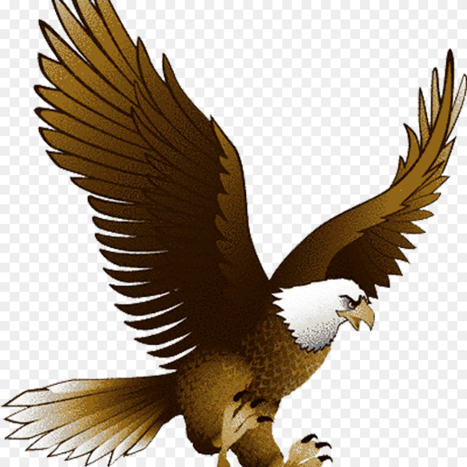 Eagle Clipart Bald Eagle Clipart School Clipart Flying Eagle Clipart, Animal, Bird, Vulture Free Png Download