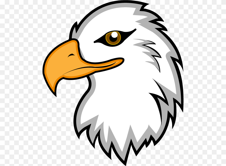 Eagle Clipart Black And White, Animal, Beak, Bird, Bald Eagle Free Png Download
