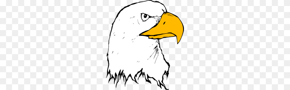 Eagle Clipart Black And White, Animal, Beak, Bird, Person Free Png Download