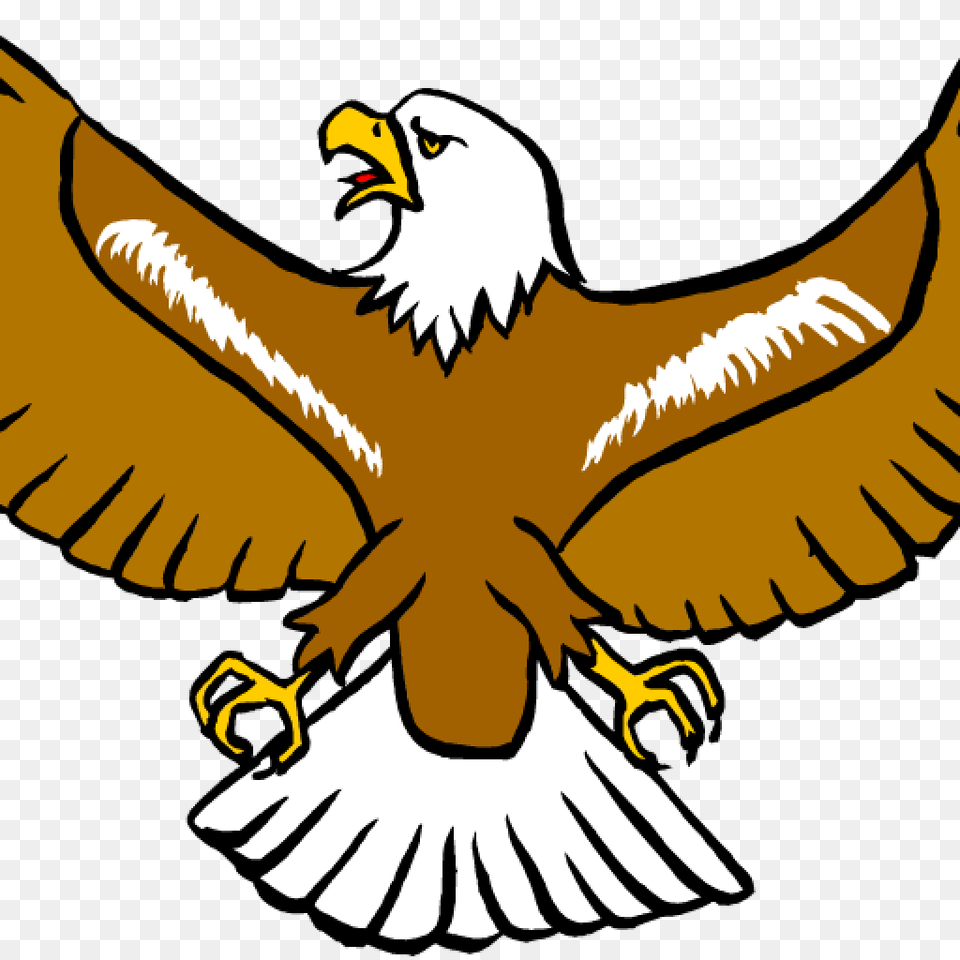 Eagle Clipart Clipart, Animal, Beak, Bird, Flying Free Transparent Png