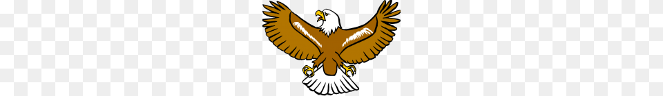 Eagle Clipart Eagle Clipart Inspirational Bald Eagle, Animal, Beak, Bird, Flying Free Png